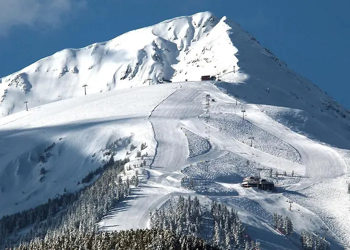 Lift - Novi * 반스코